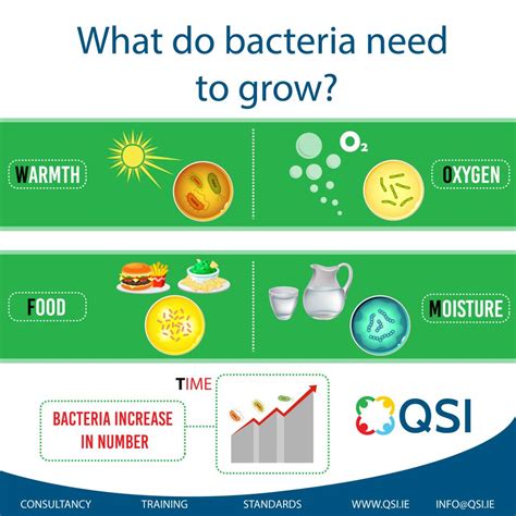 Bacteria are asexual. . Explain the conditions needed for the growth of microorganisms